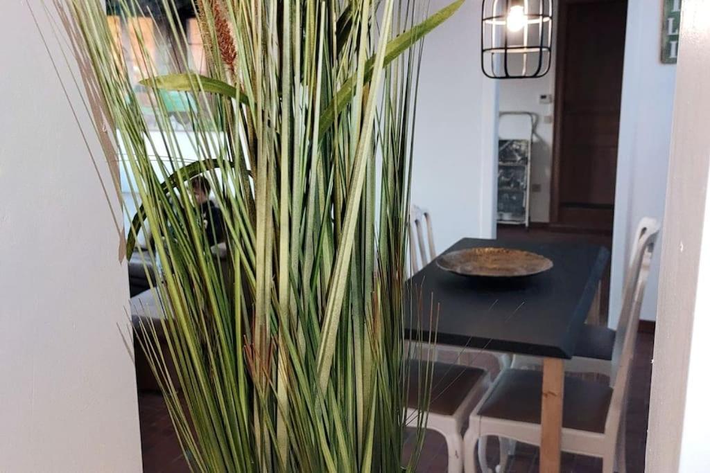 Ontdek Brugge En Vlaanderen! Appartement Zedelgem
